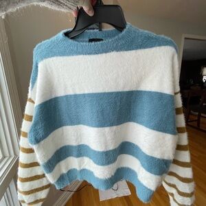 Lumiere crop sweater cuddly soft in a size medium